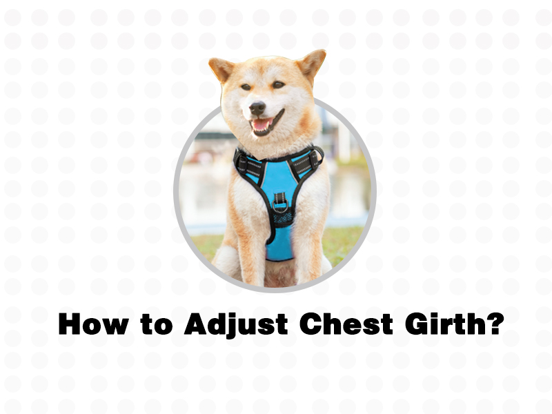 Amazon.com : PoyPet No Pull Dog Harness, No Choke Front Lead Dog